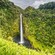 A lush tropical setting with a dramatic waterfall